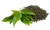 Чай